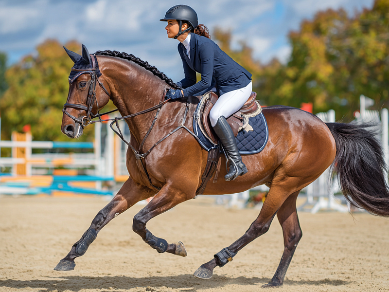 Праздник 25-летия Спортшколы по конному спорту